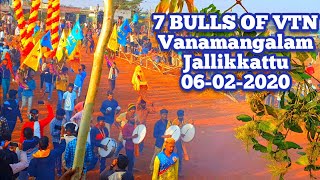 Hosur Jallikkattu - VTN Bulls Mass Performance Videos || Jallikkattu Tamila
