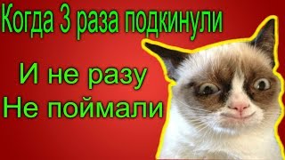 Подростки живодерки жестоко убили котенка Под Самарой | Кинельские живодерки  История повторяется