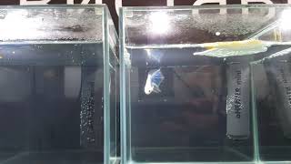 Выставка AquaTerra Show 2017 | Киев | Часть_7