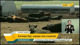 Малшылар үйірде жоқ малды есепке енгізіп, мемлекеттен субсидия алып отырған