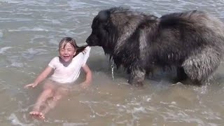 Умные животные, которые спасли жизни людей. Собака - герой спасла жизнь девочке. Кот спасает малыша