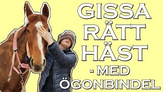 BLINDFOLDED - GISSA RÄTT HÄST CHALLENGE