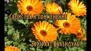Экстракт Календулы // Полезные свойства календулы // Календула в косметических средствах