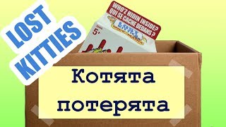 Lost Kitties. Потерянные котята. Обзор игрушек Котята в молоке