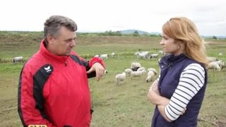 Мій путівник: Закарпаття. Сюжет другий