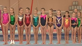 Первенство области по спортивной гимнастике