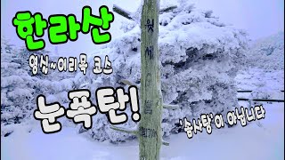 한라산 폭설 영실~어리목 코스 / 윗세오름 / 한라산 등산 / 영실코스 / 어리목코스 등산 / 제주도 여행