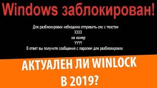 Winlock в 2020 году
