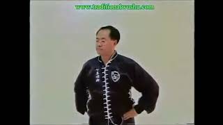 Grandmaster Lee Kam Wing 7 Star Mantis Stances
