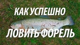 ЛОВЛЯ ФОРЕЛИ НА БОМБАРДУ. КАК УСПЕШНО ЛОВИТЬ ФОРЕЛЬ НА ПЛАТНОЙ РЫБАЛКЕ