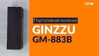 Распаковка портативной колонки GINZZU GM-883B / Unboxing GINZZU GM-883B