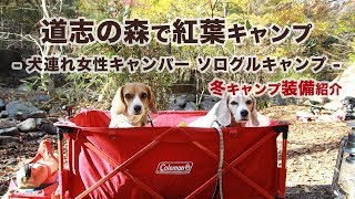 【キャンプ】道志の森で紅葉キャンプ (冬キャンプ装備紹介) - 犬連れ女性キャンパー ソログルキャンプ -