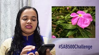 REVIEWING YOUR PHOTOS!! #SAB500Challenge - Nikon Coolpix B500 Photography Challenge | Sonika Agarwal