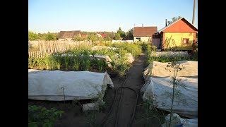 Почему у меня на участке нет сорняков, отвечаю на критику.