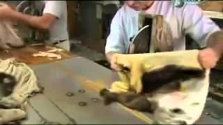 Выделка шкур