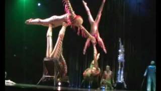 Шоу "Varekai" канадского "Цирка дю Солей"
