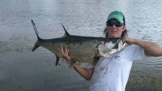 Giant Tarpon Caught In Freshwater Lake!