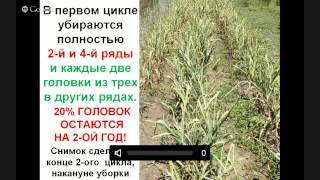 Огороду - естественное плодородие! Бублик Б.А.