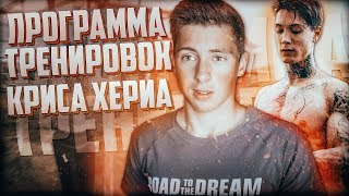 Проверка Программы Криса Хериа - Как сжечь жир