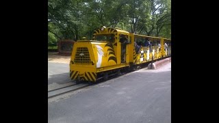 Zoo Park Animals (Nehru Zoological Park) - Hyderabad, India