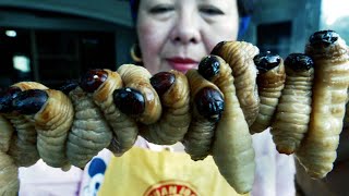 ТОП 10 САМЫХ ОТВРАТИТЕЛЬНЫХ БЛЮД МИРА! САМАЯ МЕРЗКАЯ ЕДА