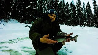 Ловля хариуса и окуня в тайге Архангельской обл