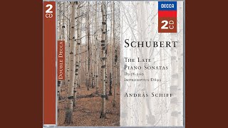 Schubert: Piano Sonata No.20 in A, D.959 - 1. Allegro