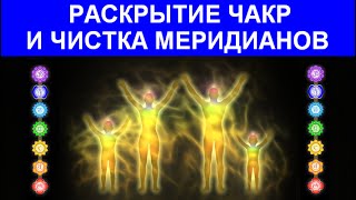Чакры и каналы | Работа с биоэнергетикой | Медитация | Евгений Джим