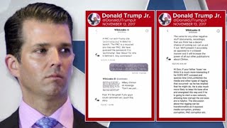 Donald Trump Jr. admits direct contact with WikiLeaks