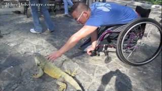 Cute iguanas in Iguanas Park - Guayaquil, Ecuador Travel
