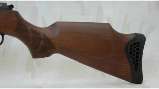 Cheapguns Hatsan 155 Torpedo 5,5mm (17J) tuned to 40J