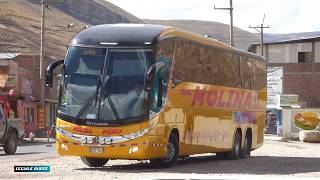 BUSES PERU - CCGUILE BUSES 2017