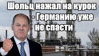 Шольц нажал на курок - Германию уже не спасти - Новости