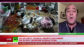 UNSC adopts document on 30-day ceasefire across Syria