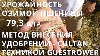 Урожайность озимой пшеницы - 79,3 ц/га  метод внесения удобрений - Cultan
