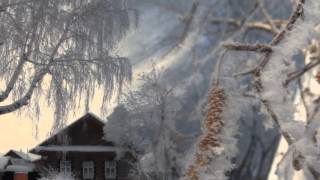 Белая береза