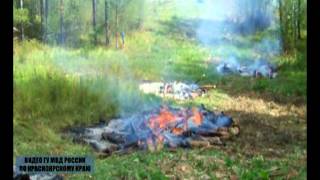 Лесной фонд края под охраной полицейских
