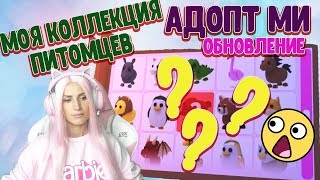 МОЯ КОЛЛЕКЦИЯ ПИТОМЦЕВ В АДОПТ МИ! Сделала ремонт! Обновление FURNITURE