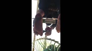 SPANK THE EVIL MONKEY A SLAVES EYE VIEW