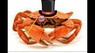 Как разделать краба . Как краба есть   . How to eat crab meat?