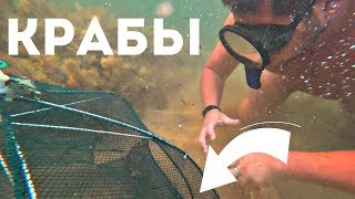 РАКОЛОВКИ! Ловля крабов в море!