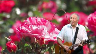 Sag Dankeschön mit roten Rosen - High Life Family