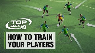 How to Train your Players | Top Eleven Tutorial