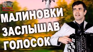 МАЛИНОВКИ ЗАСЛЫШАВ ГОЛОСОК под баян - поет Вячеслав Абросимов