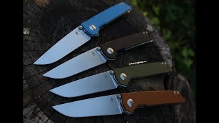 Kizer Domin