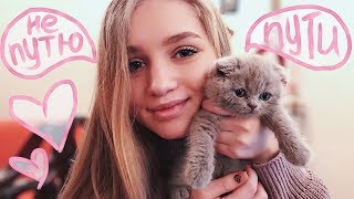 НАШ НОВЫЙ КОТЕНОК ?