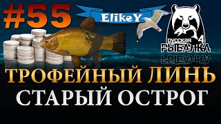 Линь и Карп! • Фарм Серебра • Чат Канала • Фидерная ловля • Старый Острог • Русская Рыбалка 4 #55