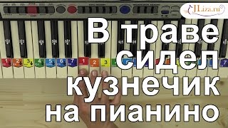 В траве сидел кузнечик на пианино