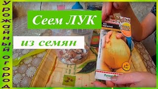 СЕКРЕТЫ ХОРОШЕЙ РАССАДЫ ЛУКА!