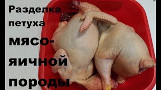 Разделка петуха. Потрошение кур мясо-яичных пород